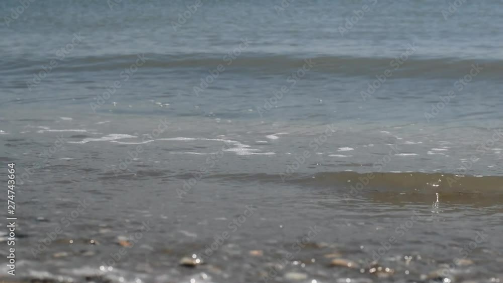 Video HD with wave on sea coast at sunny day Video HD with wave on sea coast at sunny day
