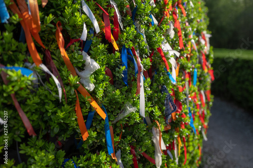 Close-up shallow depth of field shot of brightly-coloured ribbons attached to a wish tree to signify a hoped-for event
