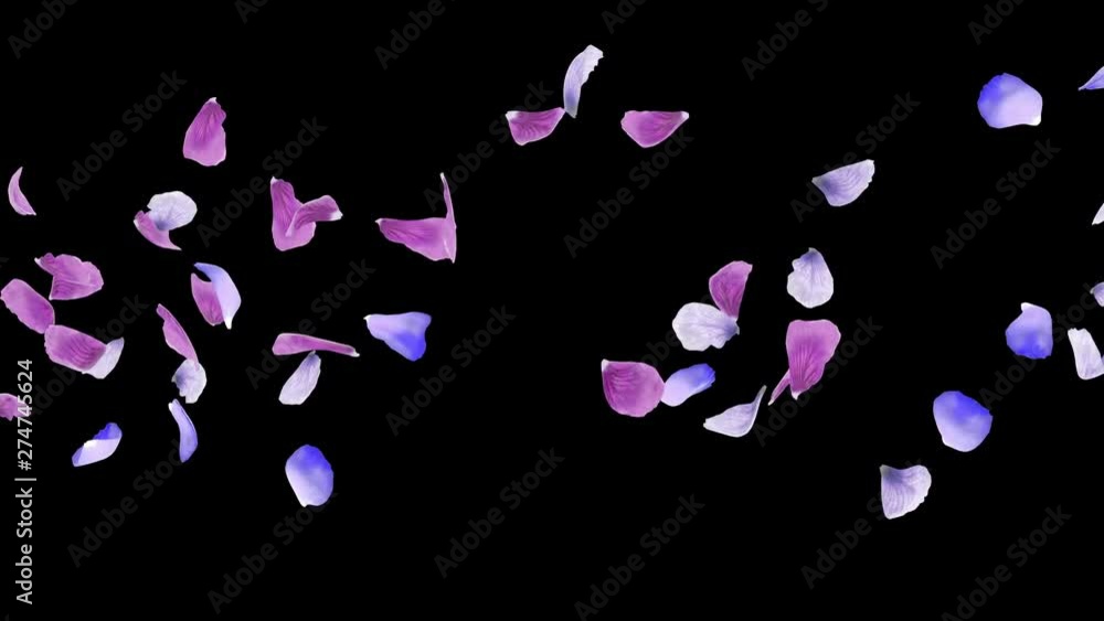 3D animation of a flower petals flow with alpha layer 3D animation of a flower petals flow with alpha layer