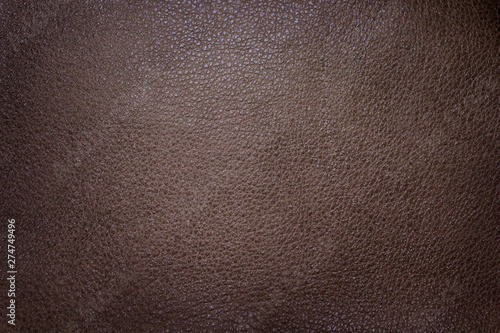 The texture of leather.Genuine leather for furniture. Red leather with free space for text.