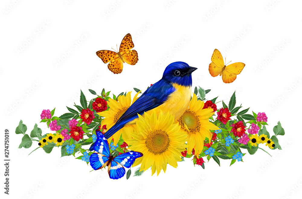 Tit bird sits on a branch of bright red flowers, yellow sunflowers, green leaves, beautiful butterflies. Isolated on white background. Flower composition.