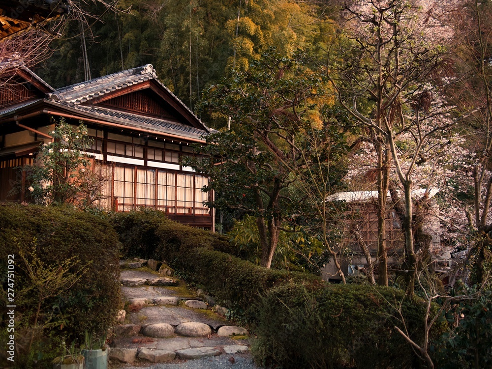 Traditional Japanese House surrounded by foliage and blooming cherry blossoms or sakura, Japan