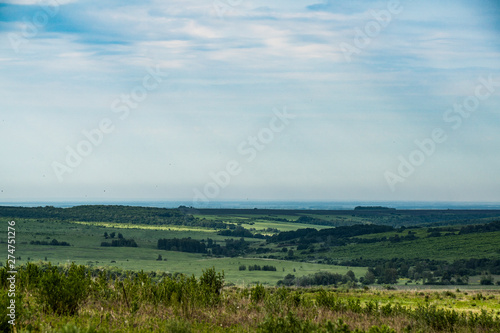 rural, landscape, distance, expanse, terrain, meadows, herbs, trees, meadow, flowers, plants, flora, blue, sky, white, clouds, beauty