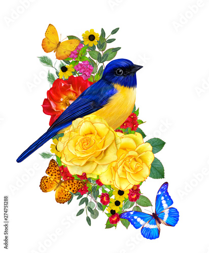 Tit bird sits on a branch of bright red flowers  yellow roses  green leaves  beautiful butterflies. Isolated on white background. Flower composition.
