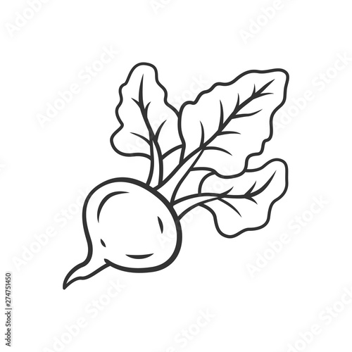 Beet linear icon