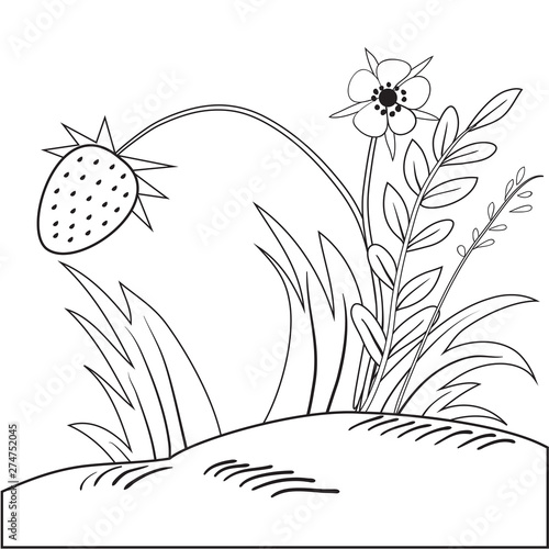 Strawberry bush outline