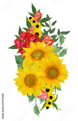 Flower composition. A bouquet of yellow sunflowers  bright crimson flowers  green leaves. Isolated on white background.