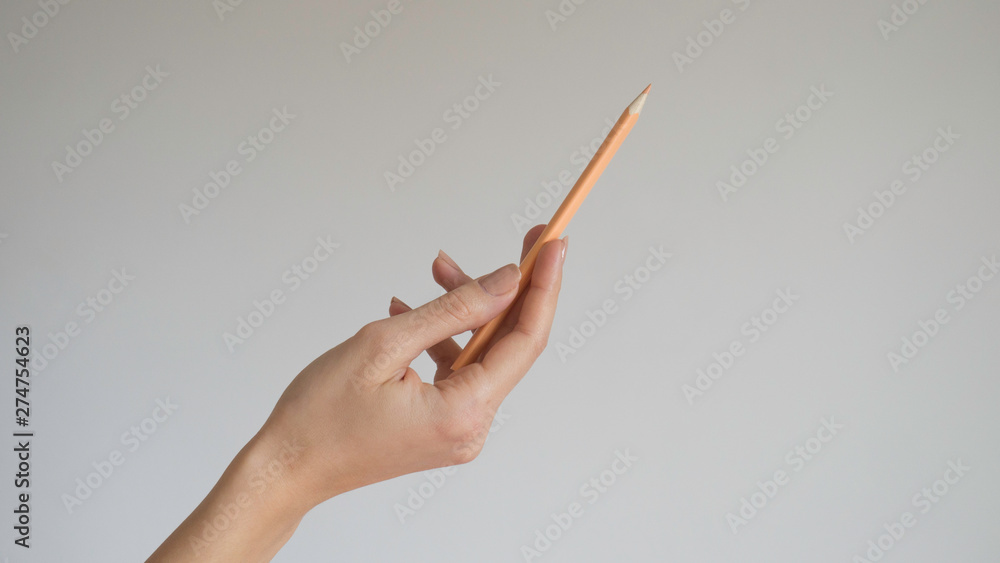  Woman's hand holding a wooden color pencil on isolated background - close up - obrazy, fototapety, plakaty 