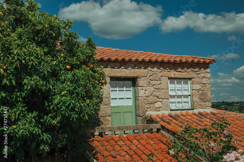 Roofs from houses made of stone and orange tree