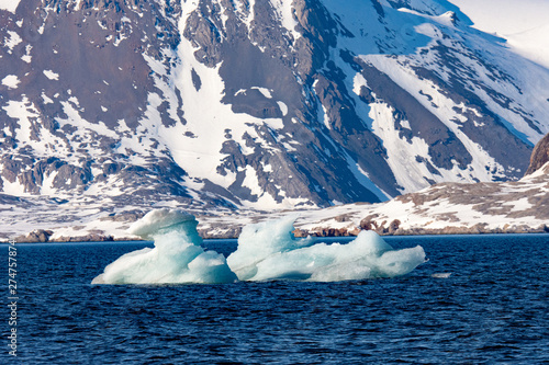 Iceberg, Svalbard