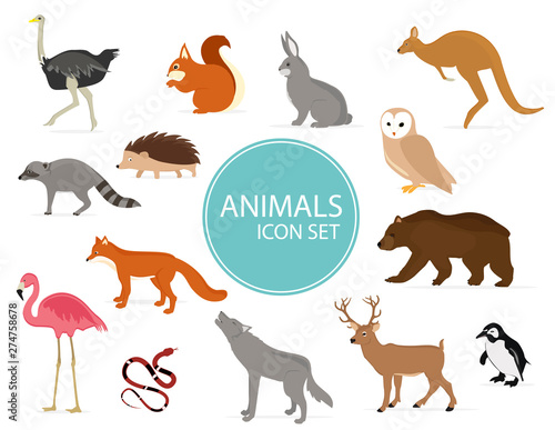 Cute animals collection