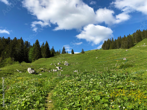 Alpine pastures and grasslands in the valley of Wagital or Waegital and by the alpine Lake Wagitalersee (Waegitalersee), Innerthal - Canton of Schwyz, Switzerland photo