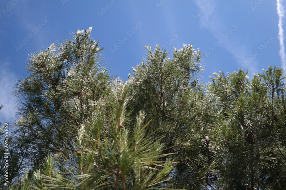 Paesaggio Paesaggio