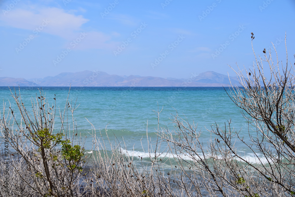 Shrubs on the beach on Kos island in Greece