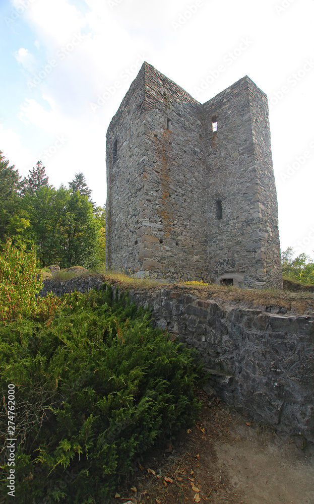 Ancient castle tower