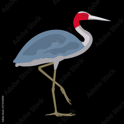 isolated vector image of a crane, large river bird, national fauna. flat cartoon illustration. realistic proportions. 