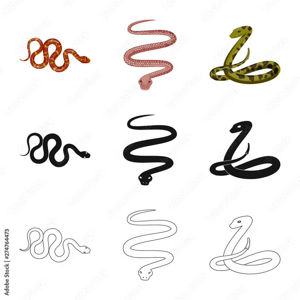 Isolated object of mammal and danger sign. Collection of mammal and medicine vector icon for stock. Isolated object of mammal and danger sign. Collection of mammal and medicine vector icon for stock.