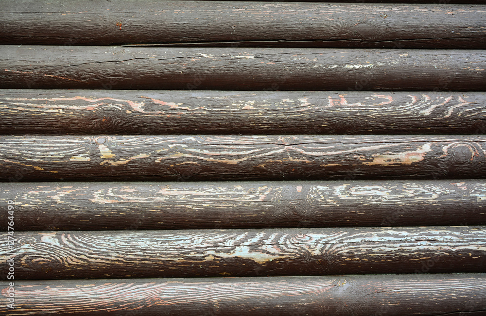 wood texture wood texture