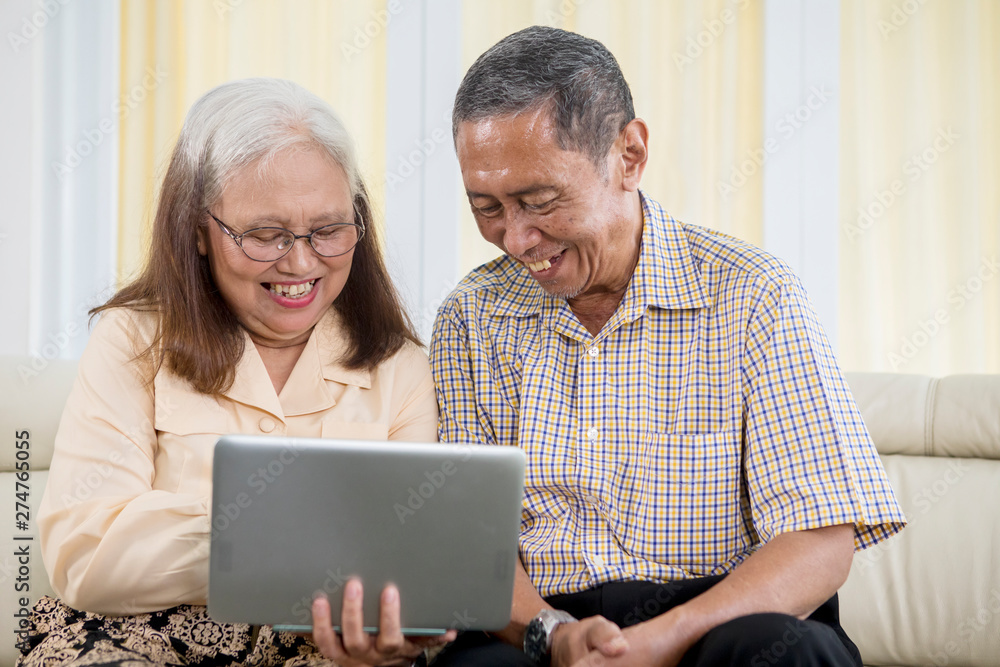 Happy elderly couple using a laptop at home