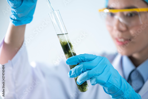 Biodiesel production is the...