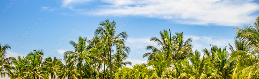 Border with coconut palm trees on beautiful Island. Tropical vacation banner.