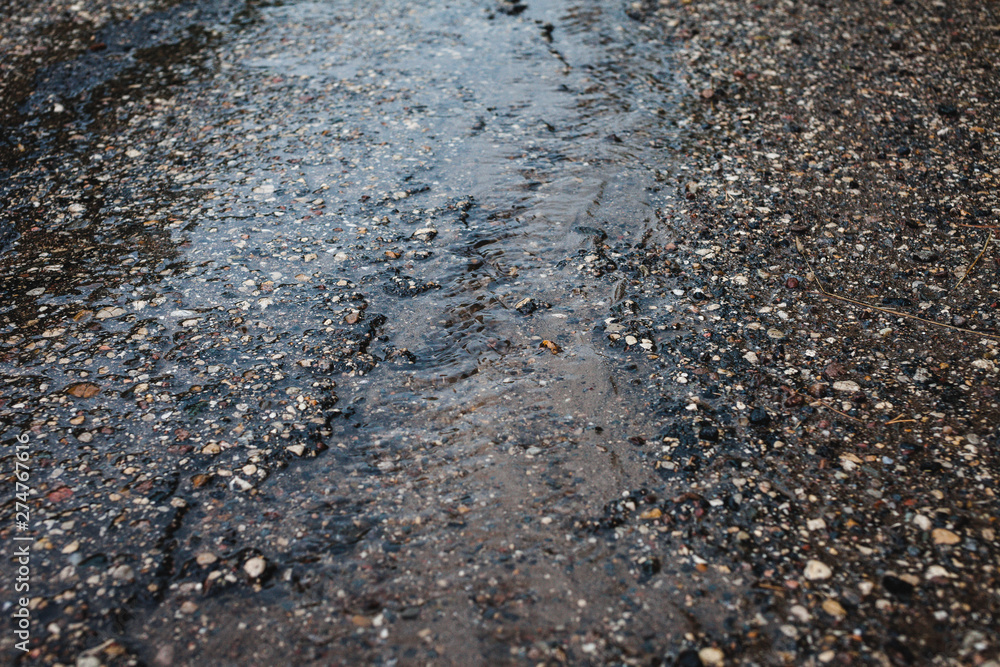 Old asphalt road with cracks and potholes in late rainy summer