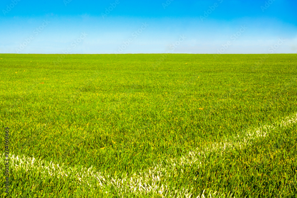 Empty sports field with white lines