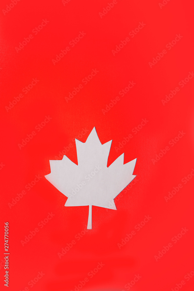 Obraz premium white maple leaf vertical