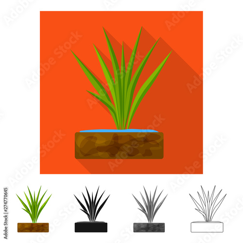 Isolated object of panicle and rice symbol. Collection of panicle and leaf stock symbol for web.