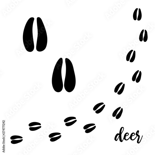 Deer hooves vector foot trails. footprints of wild buck. chamois, goat, diagonal hart tracks for t-shirts,