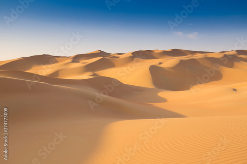 UAE. Desert landscape