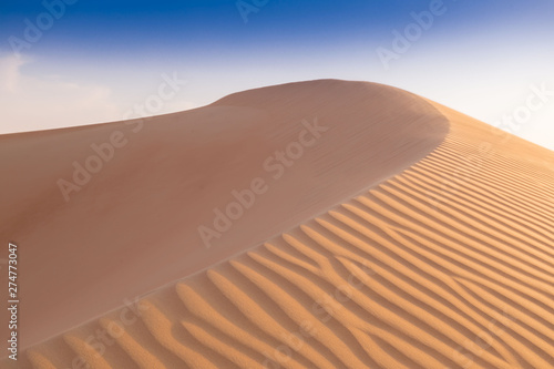 UAE. Desert  landscape