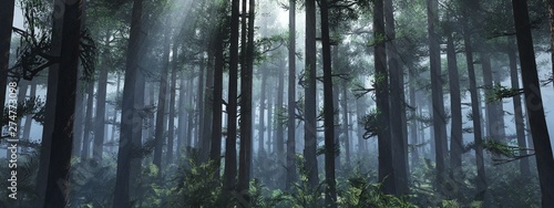 Trees in the fog. The smoke in the forest in the morning. A misty morning among the trees. 3D rendering © ustas