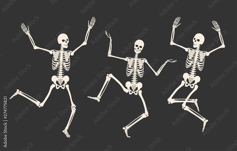Dancing human skeletons. Happy Halloween. White skeleton silhouettes