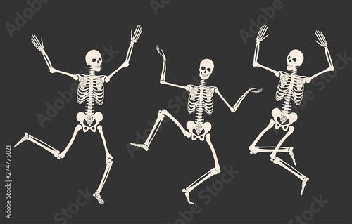 Dancing human skeletons. Happy Halloween. White skeleton silhouettes isolated on black background. Vector illustration