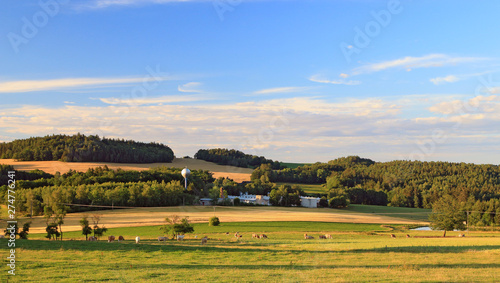 Summer landscape in sunny day. Rural countryside.