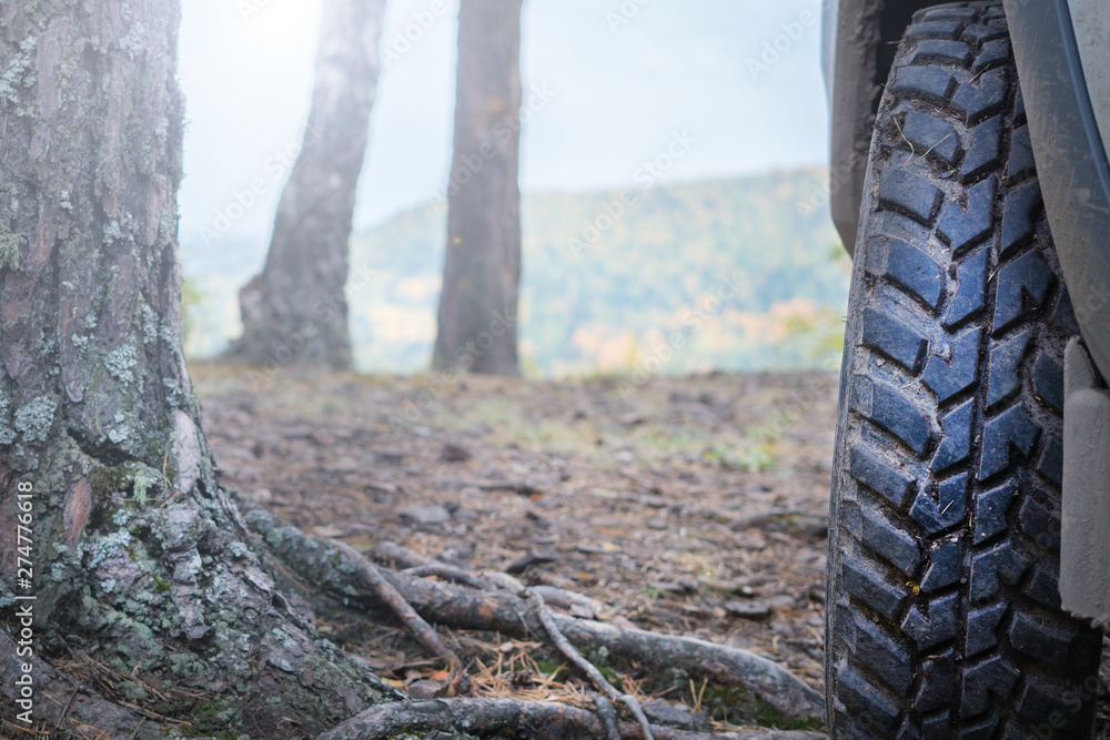 a large wheel with off-road tread stands in the forest on the roots of trees. a large wheel with off-road tread stands in the forest on the roots of trees.