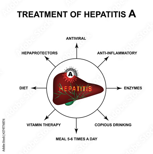 Treatment of hepatitis C. World Hepatitis Day. Infographics. Vector illustration on isolated background.