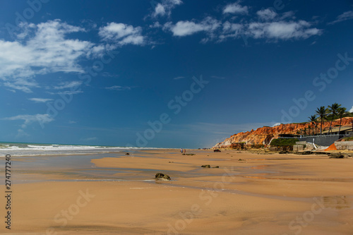 landscape beach of Morro Branco  Cear   - Brazil