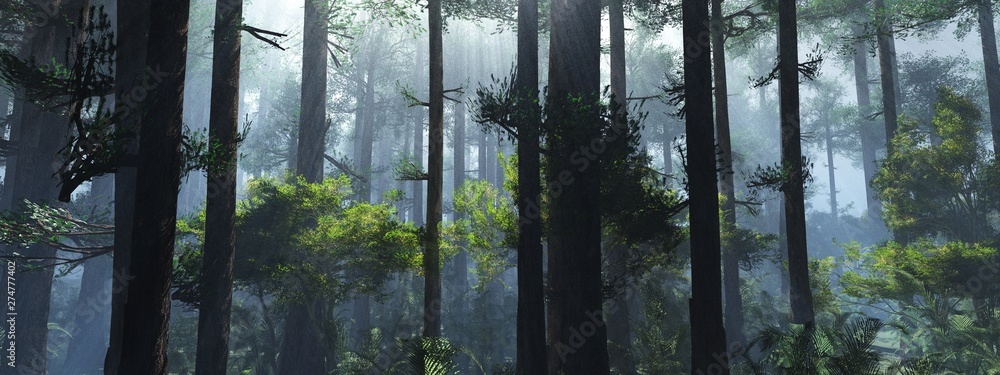 Fototapeta Drzewa we mgle. Dym w lesie rano. Mglisty poranek wśród drzew. Renderowanie 3D