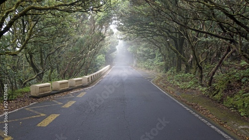curvy serpentine roads in anaga mountains