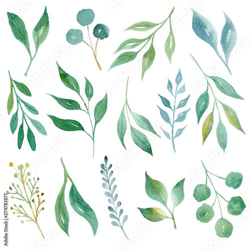 Green leaves hand drawn watercolor raster illustration set