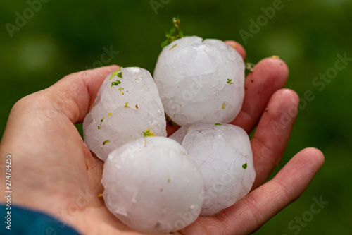 Huge hailstones after a severe thunderstorm in the hand of a young woman. photo