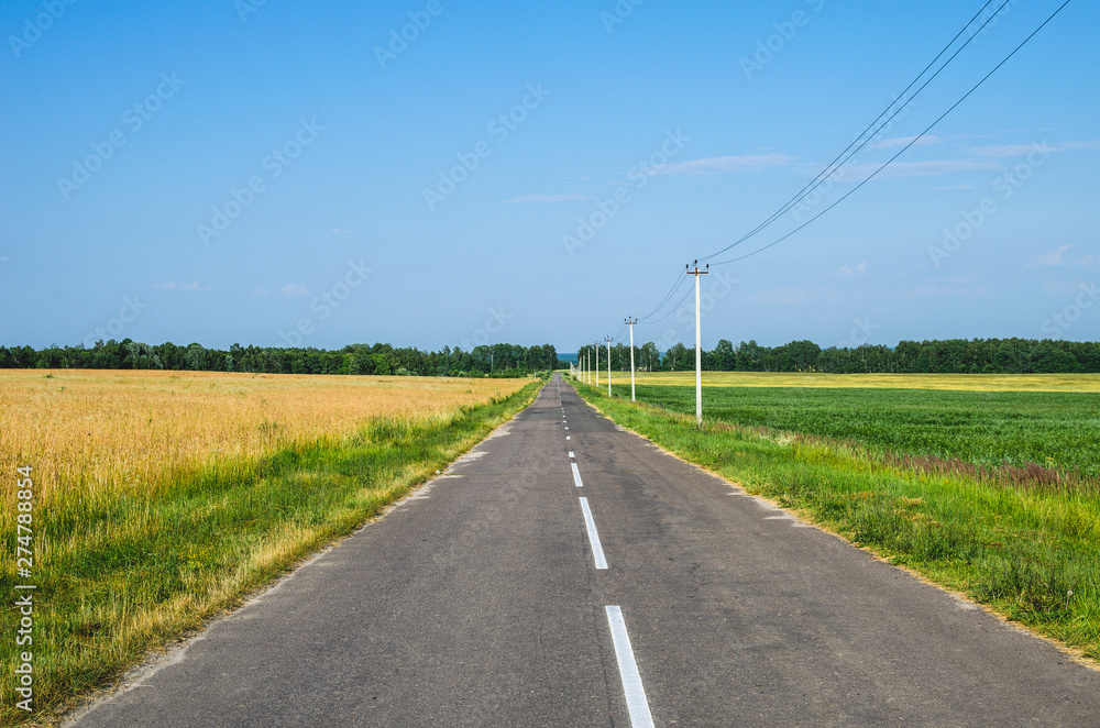 The road stretches into the distance. Power line next to the road going into the distance