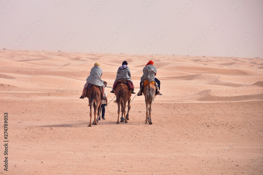Camels caravan going in sahara desert in Tunisia, Africa. Tourists ride the camel safari. Camel caravan going through the sand dunes in the Sahara Desert.