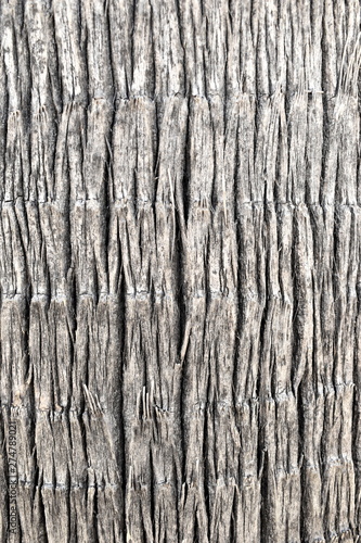 Wooden palm nature texture background 