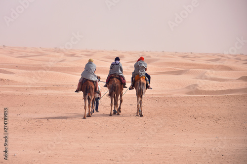 Camels caravan going in sahara desert in Tunisia, Africa. Tourists ride the camel safari. Camel caravan going through the sand dunes in the Sahara Desert.