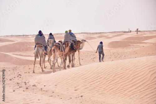 Camels caravan going in sahara desert in Tunisia  Africa. Tourists ride the camel safari. Camel caravan going through the sand dunes in the Sahara Desert.