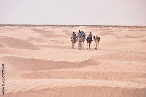 Camels caravan going in sahara desert in Tunisia  Africa. Tourists ride the camel safari. Camel caravan going through the sand dunes in the Sahara Desert.