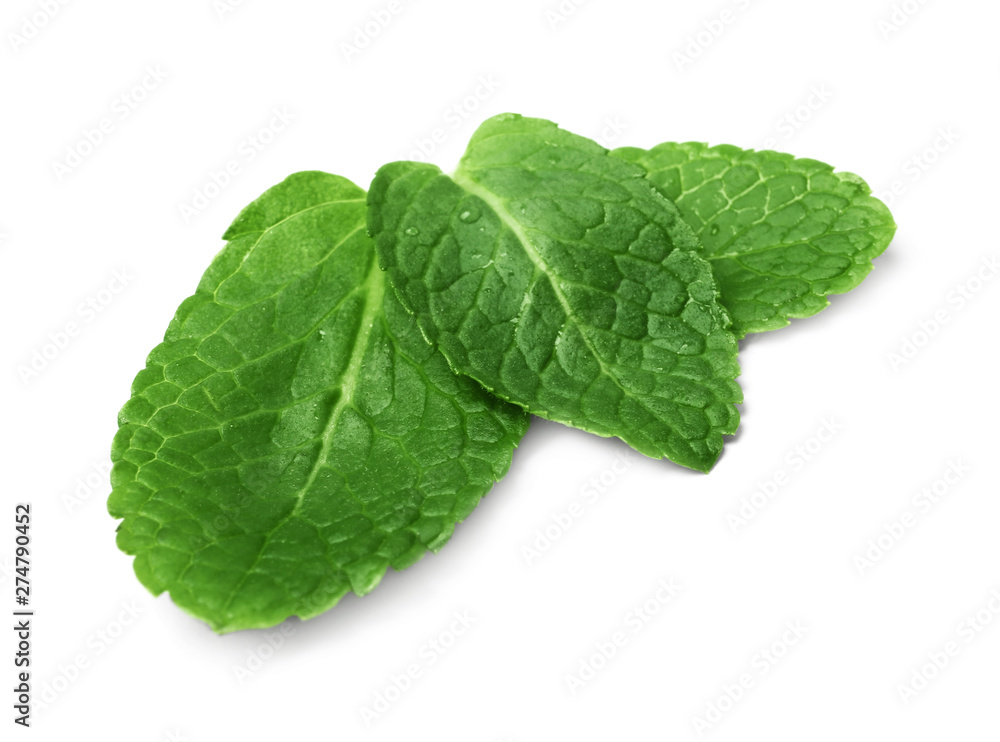 Wet leaves of fresh mint isolated on white Wet leaves of fresh mint isolated on white